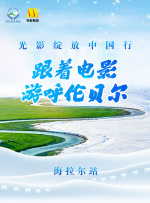 婷婷四房播